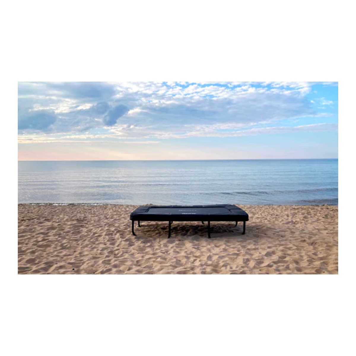 Beast Beast 9x6 ft Mini Rectangle Trick Tramp